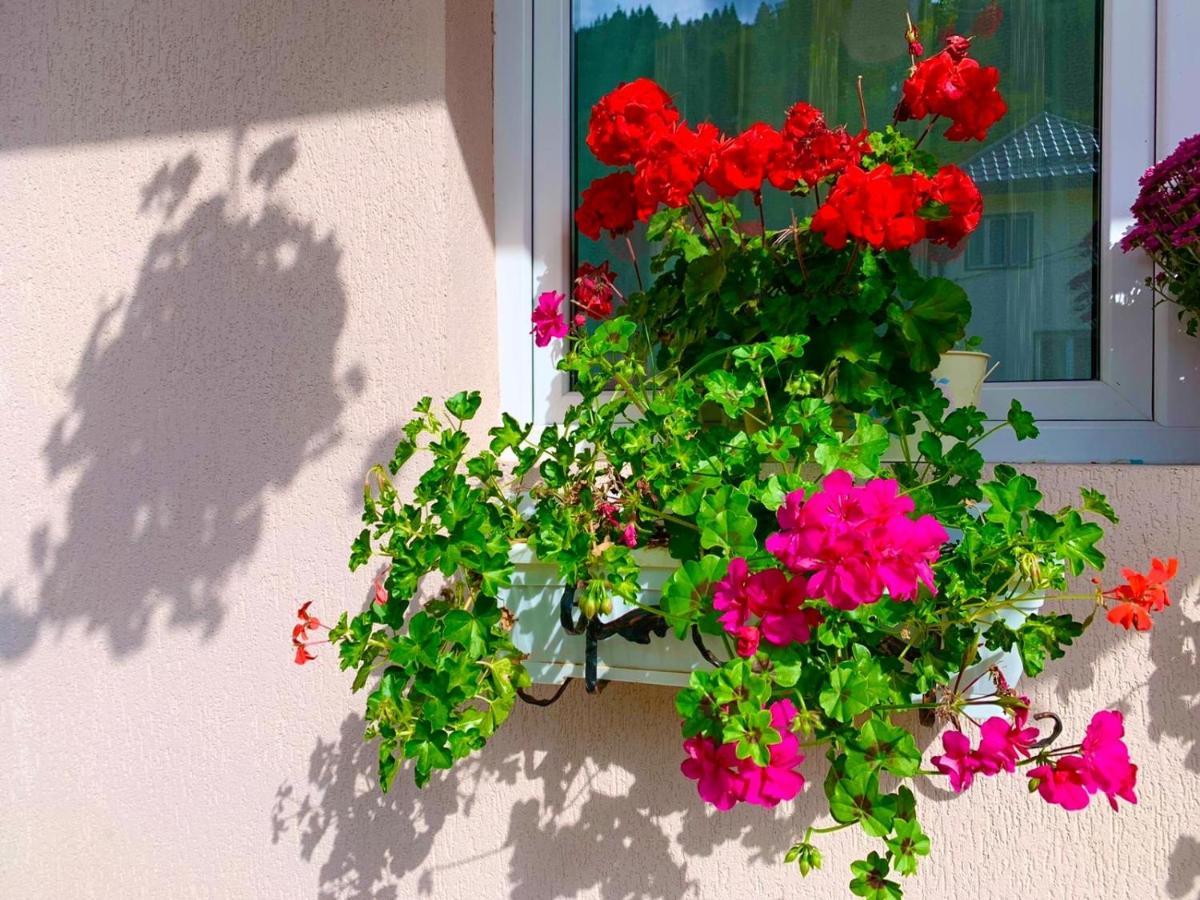 Anelisse Inn Felsőmoécs Kültér fotó